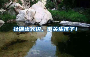 社保出大招，事关生孩子！