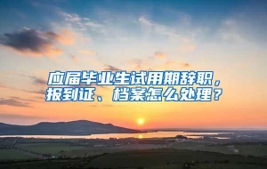 应届毕业生试用期辞职，报到证、档案怎么处理？
