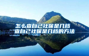 怎么查自己社保是几档 查自己社保是几档的方法