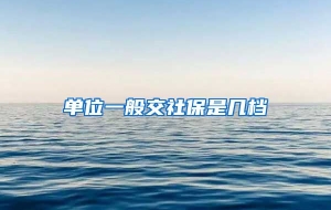 单位一般交社保是几档