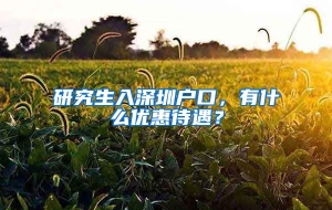 研究生入深圳户口，有什么优惠待遇？