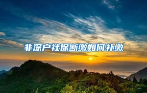 非深户社保断缴如何补缴