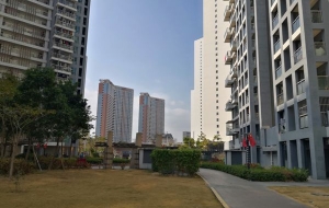 终于有人把深圳入户中级职称的攻略讲明白了