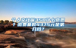 个人交社保350什么意思？缴费基数4375元是第几档？