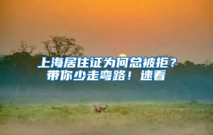 上海居住证为何总被拒？带你少走弯路！速看
