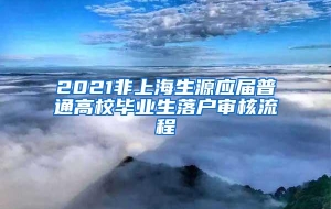 2021非上海生源应届普通高校毕业生落户审核流程