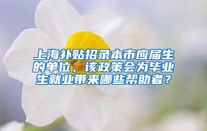 上海补贴招录本市应届生的单位，该政策会为毕业生就业带来哪些帮助者？