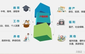 临港人才政策解读——应届毕业生