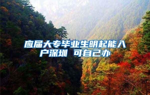 应届大专毕业生明起能入户深圳 可自己办