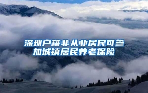 深圳户籍非从业居民可参加城镇居民养老保险