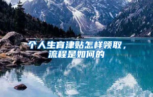 个人生育津贴怎样领取，流程是如何的