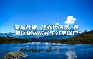 深圳社保 代办代缴费 养老医保买房买车入学深户