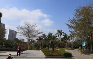 想要轻松应对深圳大专可以落户深圳吗吗？你需要了解的是什么？