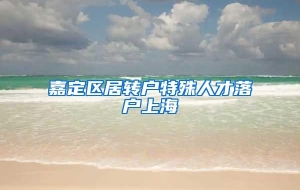 嘉定区居转户特殊人才落户上海