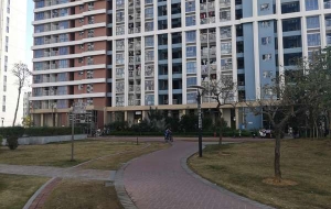 关于研究生直接入户深圳条件方面的重要资料