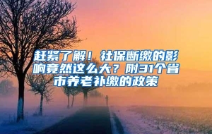 赶紧了解！社保断缴的影响竟然这么大？附31个省市养老补缴的政策