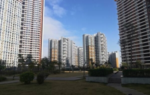 看了深圳本科生落户政策2022，你发现了什么？