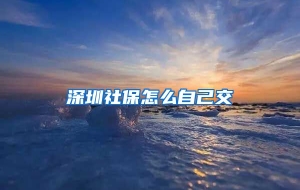 深圳社保怎么自己交