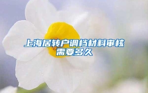 上海居转户调档材料审核需要多久