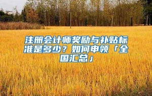 注册会计师奖励与补贴标准是多少？如何申领「全国汇总」
