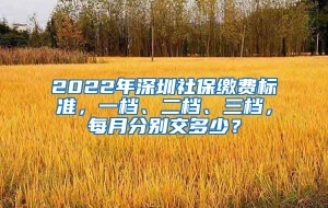 2022年深圳社保缴费标准，一档、二档、三档，每月分别交多少？