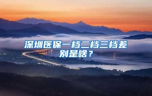 深圳医保一档二档三档差别是啥？