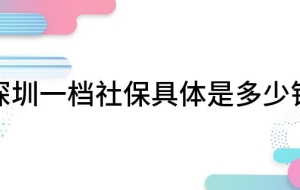 深圳一档社保具体是多少钱