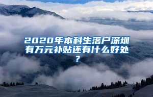 2020年本科生落户深圳有万元补贴还有什么好处？