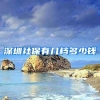 深圳社保有几档多少钱