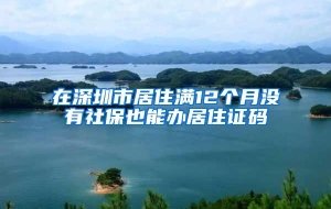 在深圳市居住满12个月没有社保也能办居住证码