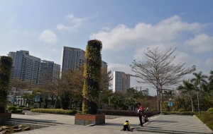 上海应届生怎么落户深圳有哪些秘籍？