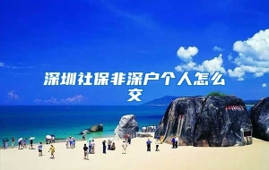 深圳社保非深户个人怎么交