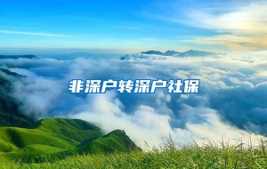 非深户转深户社保