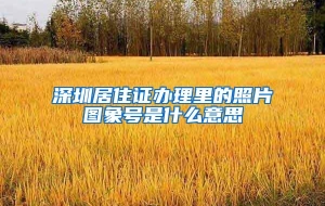 深圳居住证办理里的照片图象号是什么意思