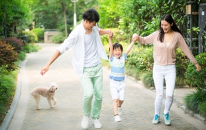 深圳积分入户流程及时间表,入深户职称证书