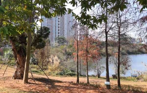 应届生落户深圳的条件2022指南：5个超级节省时间的方法！