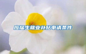 应届生就业补贴申请条件