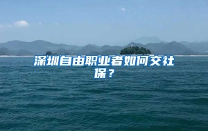 深圳自由职业者如何交社保？