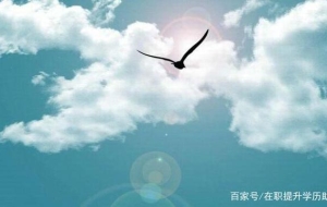 深圳专科在读自考本科的好处？