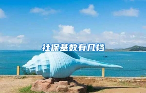 社保基数有几档