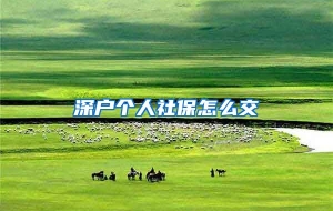 深户个人社保怎么交