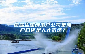 应届生深圳落户公司集体户口还是人才市场？