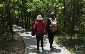 2022年养老保险一次性缴纳条件和办理流程有哪些