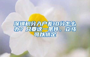 深圳积分入户差10分怎么办？只要这一条件，立马可以搞定