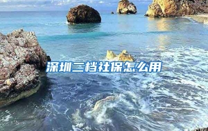 深圳二档社保怎么用