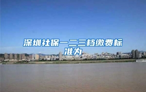 深圳社保一二三档缴费标准为