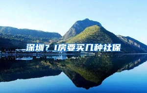 深圳？I房要买几种社保