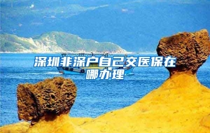 深圳非深户自己交医保在哪办理