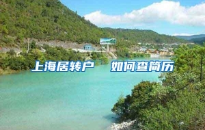 上海居转户  如何查简历