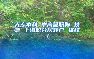 大专本科 中高级职称 技师 上海积分居转户 择校！